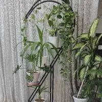 استند گل طرح قلب ، پایه گل