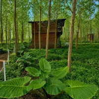 کلبه ای که هم مقصد سفر است ،هم مقصد سرمایه
