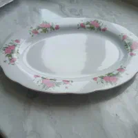 دیس پلو خوری