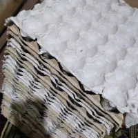 33عدد شانه تخم مرغ مناسب برای مرغداری ها