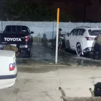 صفرشویی و کارواش نانوپونک