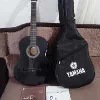 گیتاردیاموند نو،به همراه کیف