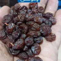 فروش عمده کشمش افتابی کیفیت تضمینی مویز شیره خرما
