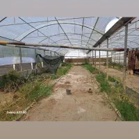 فروش-گلخانه