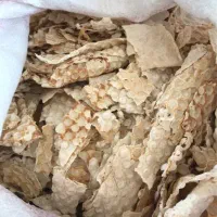 فروش 2گونی نان خشک