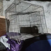 قفس پرنده