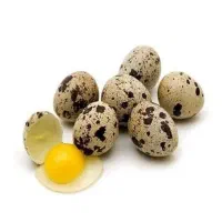 تخم بلدرچین