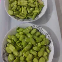 باقالی تازه