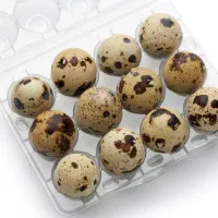 تخم بلدرچین نطفه دار و خوراکی