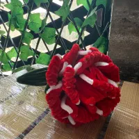 شاخه گل غول پیکر
