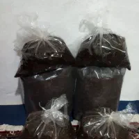 چای بهاره لاهیجان