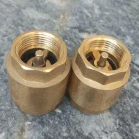 ۲ عدد شیر یکطرفه برنجی سوپاپی  اصل سایز یک اینچ