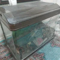 آکواریوم