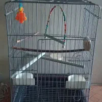 دو عدد قفس