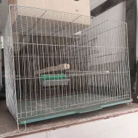 قفس پرنده