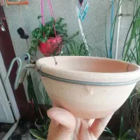 لانه سفالی پرنده