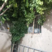 سوئیت-ساعتی-و-روزانه