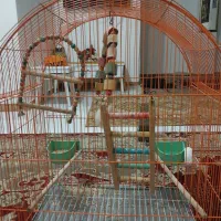 قفس پرنده بزرگ