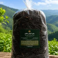جذب ویزیتور خانم