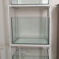 اکواریوم شیشه خم