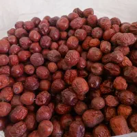 عناب|خوردنی و آشامیدنی|مشهد, نظام دوست|دیوار