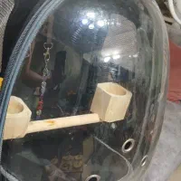 کوله پشتی  حمل پرنده