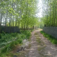 ۴۰۸متر زمین جای بکر روستایی