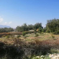 زمین تلخسرو