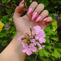 کاشت ناخن و ترمیم و آموزش تخصصی و تضمینی کاشت ناخن