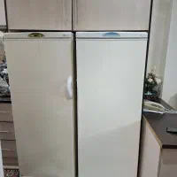 یخچال دو قلو پارس