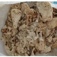 نان خشک