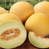 ملون درجه یک عمده