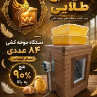 دستگاه جوجه کشی سیمرغ طلایی