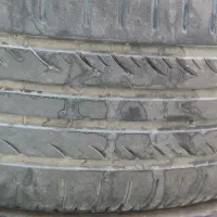 لاستیک ساینا
