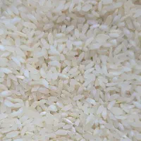 برنج کامفیروز