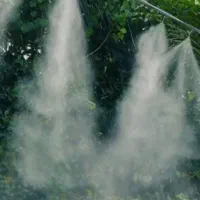 تـوجه. توجه