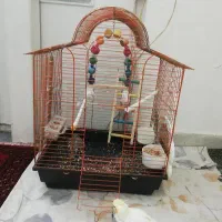 فروش قفس پرنده.