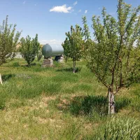 باغ سرسبز در نزدیکی بستان آباد با سند و آب