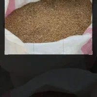گندم