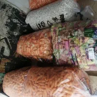 کدو هندوانه شلغم باقالی چغندر پفلا پقک و