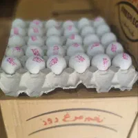 فروش تخم مرغ شرکتی کارتن 180عددی