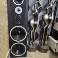 اسپیکر مارشال سالم . یک جفت