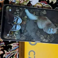 گوشی poco C71|موبایل|تهران, جوانمرد قصاب|دیوار