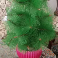 درختچه کریسمس