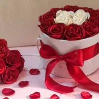 گل رز|گل مصنوعی|سنندج, |دیوار