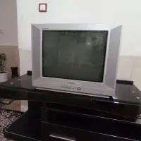 تلویزیون