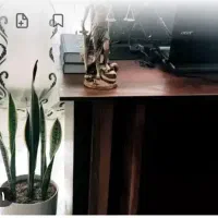 وکیل(وکالت در کلیه دعاوی) خوزستان