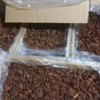 مویز و کشمش