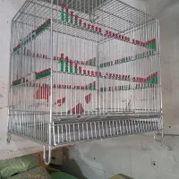 قفس سهره مهره دار