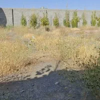 زمین گوهردشت/۳۰۰۰ متر
